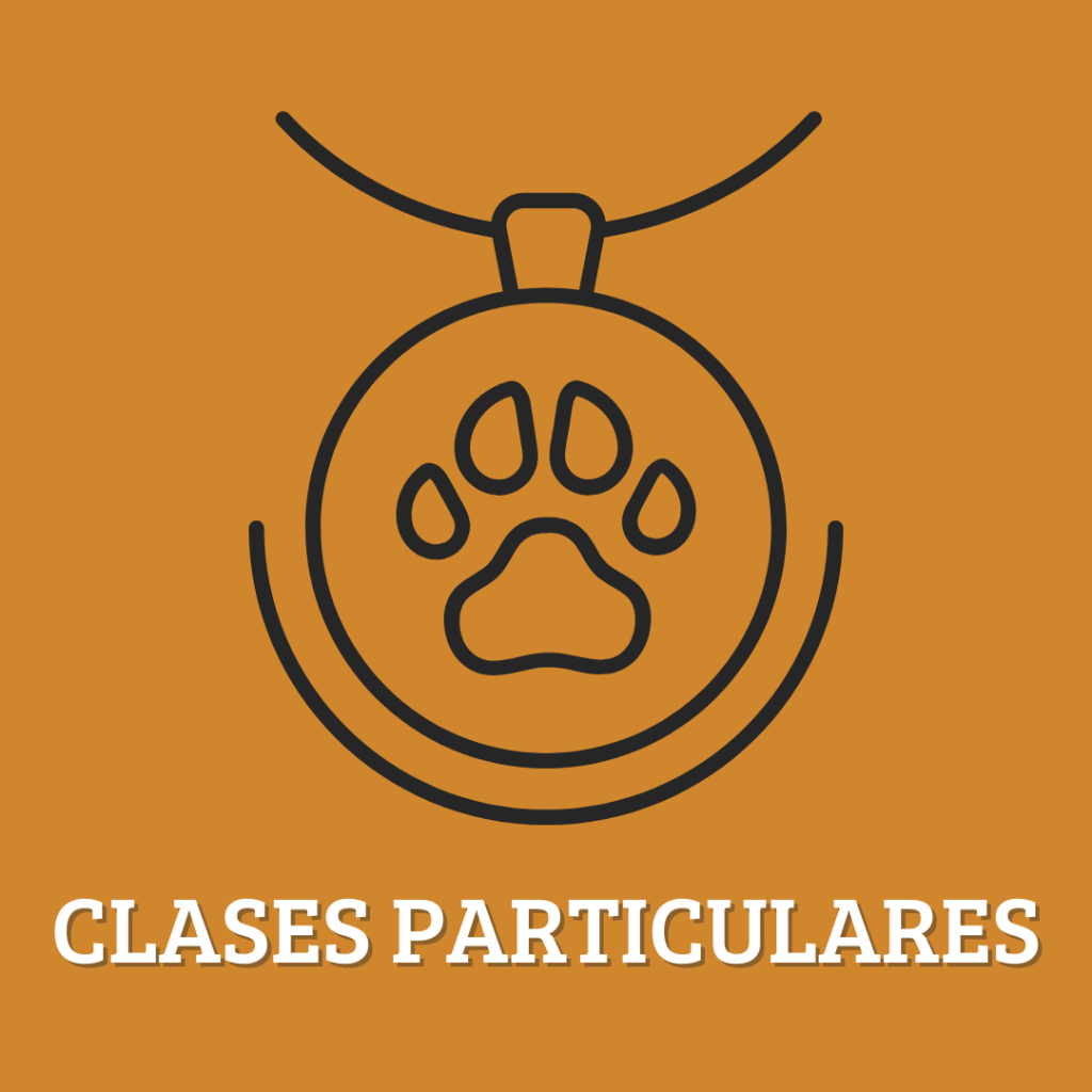 Clases particulares